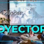 Dónde Colocar Proyector