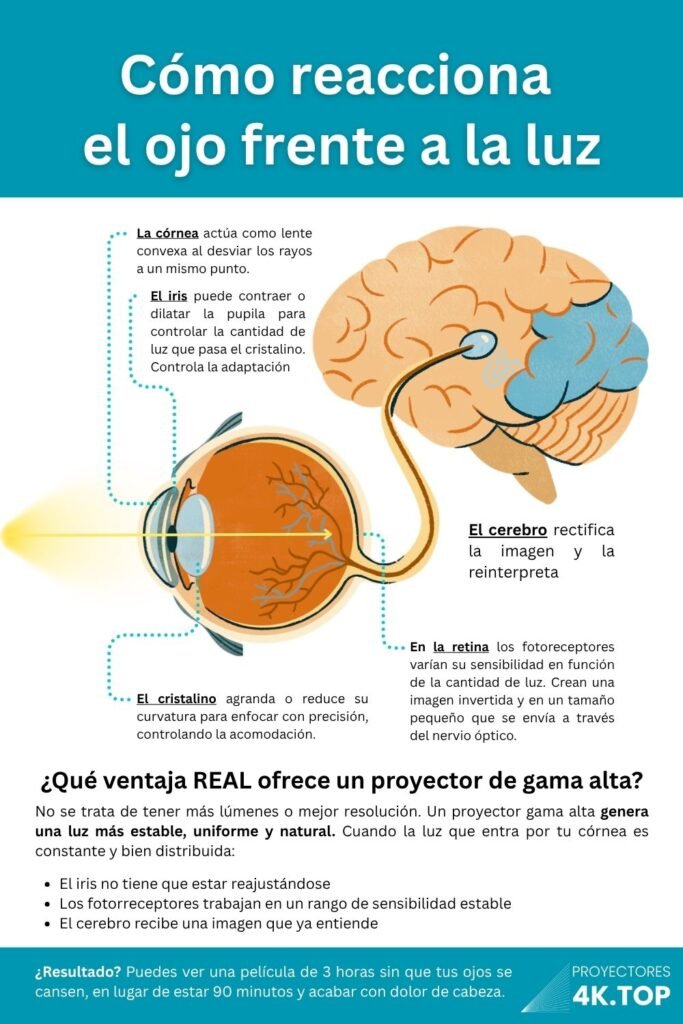 La reproducción del color y el contraste