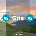 Pantalla Blanca vs Gris vs ALR