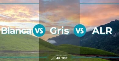 Pantalla Blanca vs Gris vs ALR