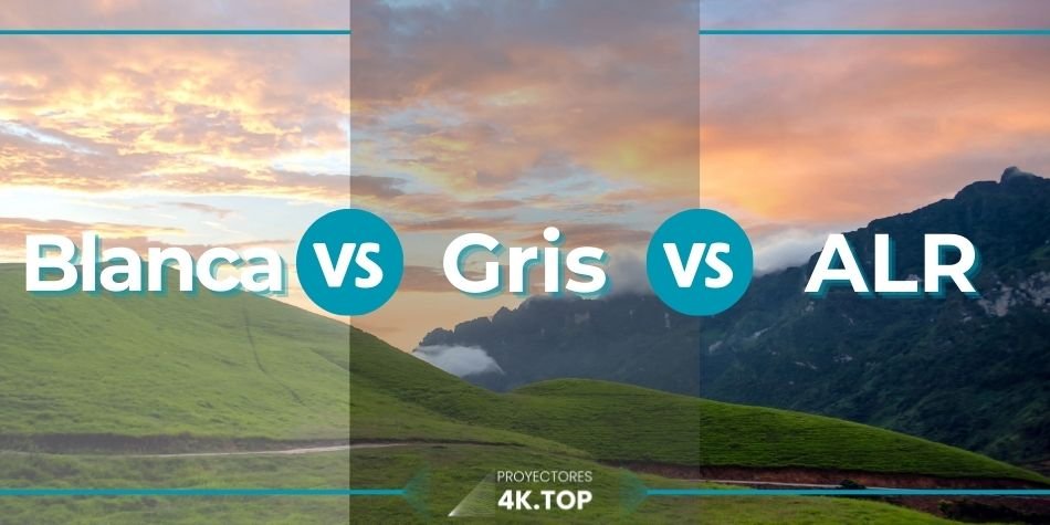 Pantalla Blanca vs Gris vs ALR